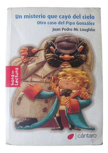El Misterio Que Cayo Del Cielo - J. P. Mc Loughlin - Cántaro (Usado)