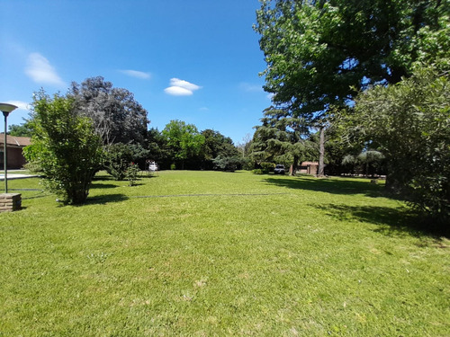Venta Casa Quinta 3 Amb 2 Lotes Con Piscina