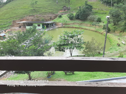 Imagem 28 de 30 de Chácara À Venda Em Gaspar/sc - 1534c
