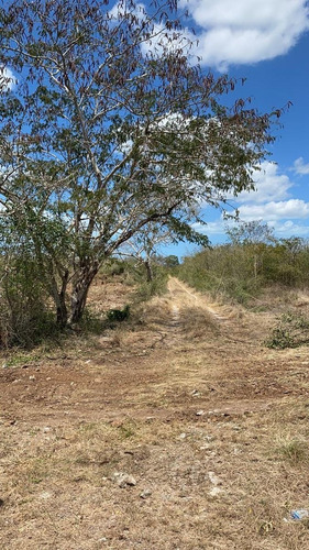 Imagen 7 de 20 de Lotes Residenciales De Inversión En Habinta Cerca De Chicxu