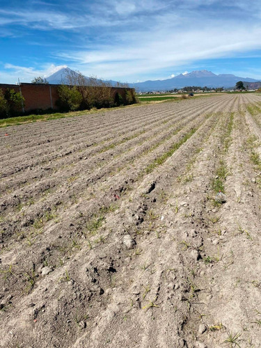 Imagen 11 de 14 de Terreno En Venta En Tonantzintla Para Rancho O Desarrollo.
