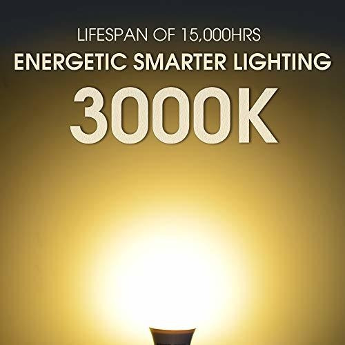 24 Pack Led Light Bulbs 60 Watt Equivalent A19 Warm
