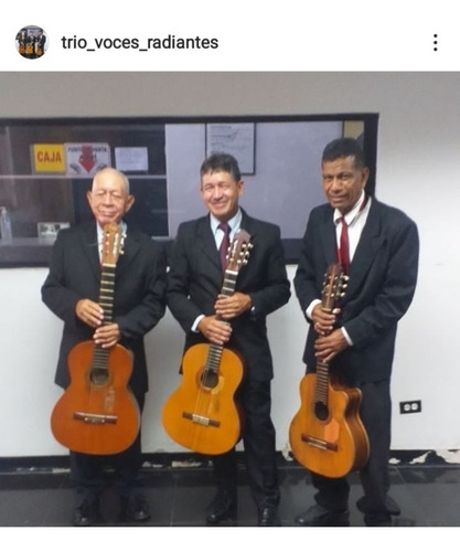 Imagen 4 de 4 de Boleros, Baladas, Grupo Musical En Vivo, Y Trio Serenatas