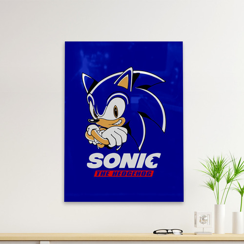 Cuadro Deco Sonic 2019 (d1021 Boleto.store)