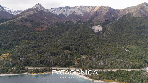 Venta De Lote De 109 Has - Vista Al Lago - Sobre Ruta Nacional Nahuel Huapi.