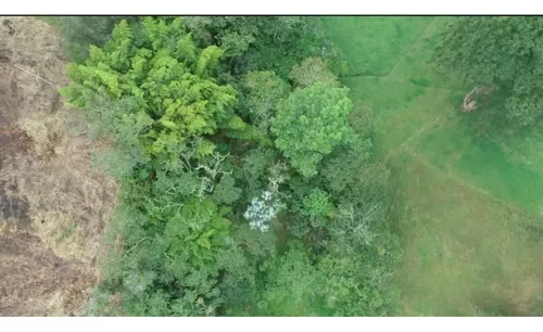 Lote Independiente Rionegro Vereda Ojo De Agua