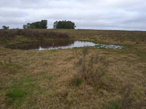 Campo De 23 Hectáreas En Canelones