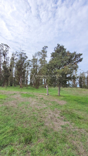 Venta Campo Sauce Totoral Canelones 9 Hectáreas Y Media Agricola Ganadero Ruta 86