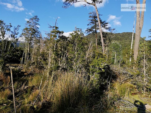 Parcela En Venta En Cisnes