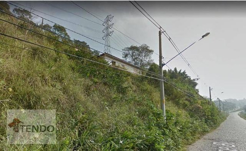 Imagem 1 de 15 de Terreno À Venda, 8425 M² Por R$ 552.000 - Chácara São Paulo - Rio Grande Da Serra/sp - Te0350