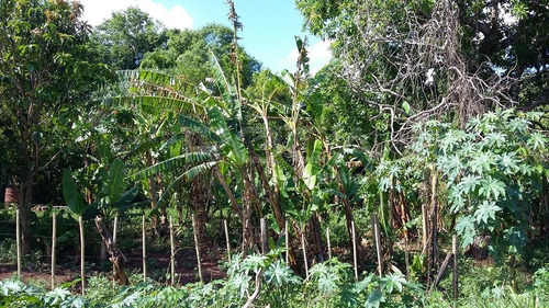 Venda De Rural / Chácara Na Cidade De São Carlos 6883