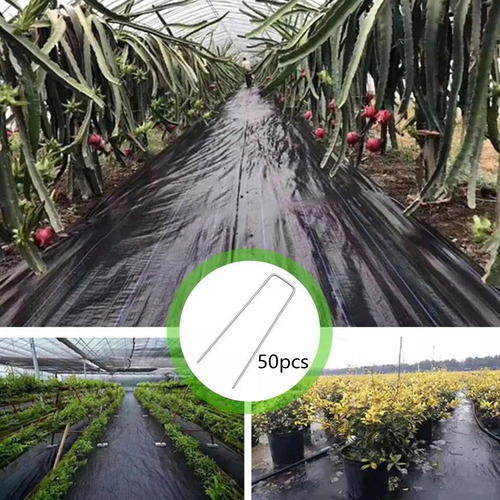 50 Grapas De Acero Para Jardín, Grapas Para 2,5x4x200mm