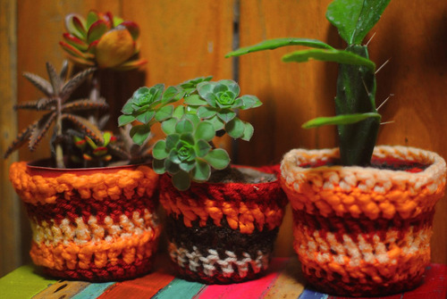 Cactus Y Crasas Maceta Nº10 A 14  Decorada Con Funda Crochet