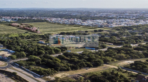 Imagem 8 de 11 de 2814 - Terreno Para Vender, Ponta Do Seixas, João Pessoa, Pb - 21281-12332