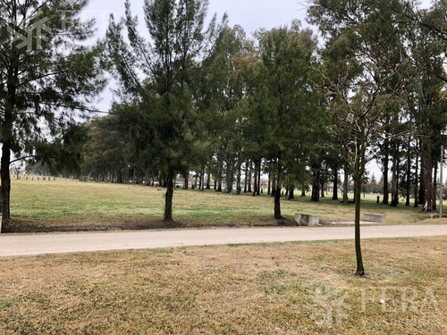 Imagen 13 de 30 de Venta De Terreno En Campos De Roca Ii (27851)