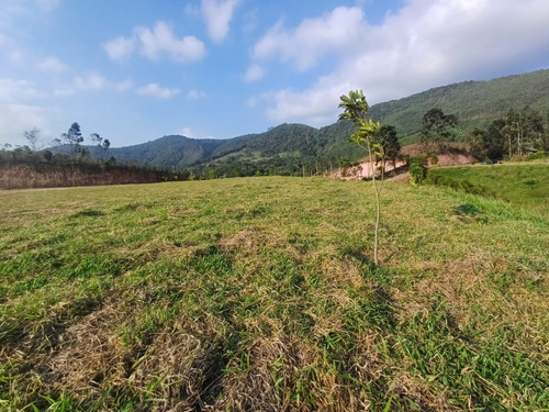 Terreno Em Santa Isabel Sp, Próximo A Igaratá