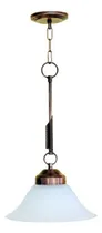 Comprar Lamparas Colgantes  De Techo X 1.  Apto Lampara Led. Techo.