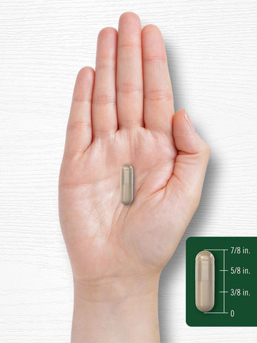 Suplemento Carlyle Lions Mane Capsules 4200 Mg 60 Unidades