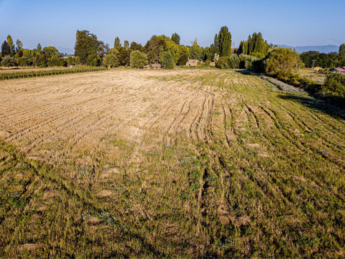 Parcela Terreno Con Casa, 45.000 M2 Maule
