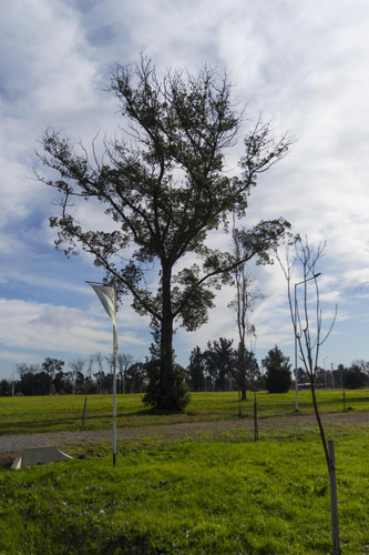 Mercedes - Lotes Quintas - La Cañada