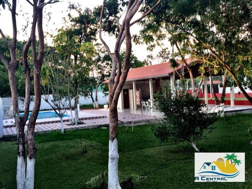 Imagem 17 de 30 de Locacao Para Festas E Eventos - Sl0003