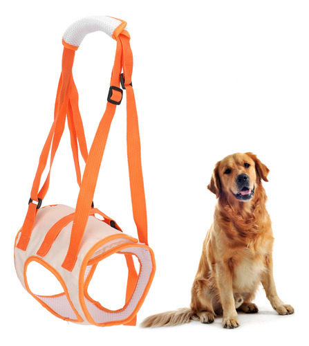 Cinturón De Soporte Para Patas Traseras Para Perros, Arnés D