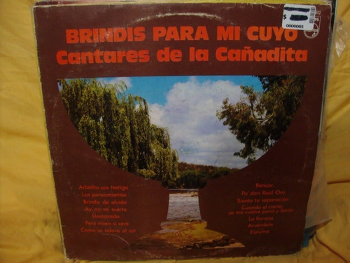 Vinilo Cantares De La Cañadita Brindis Para Mi Cuyo Oo F1