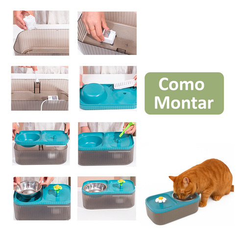 Fonte de Água Para Pet Automática Com Comedouro Cão e Gato 3 Litros Prato Ração Inox Cor Azul
