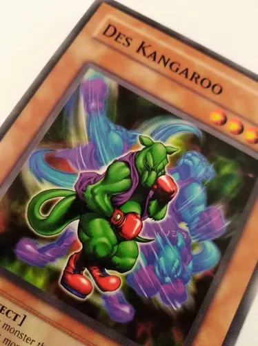 Des Kangaroo - Common Ioc