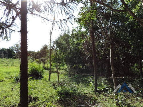 Chácara Com 1 Dormitório À Venda, 8000 M² Por R$ 480.000,00 - Gleba Ribeirão Cafezal - Londrina/pr - Ch0031