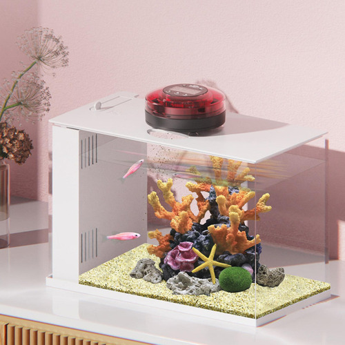 Alimentador Automático De Peces, Comedero Para Acuario En ,