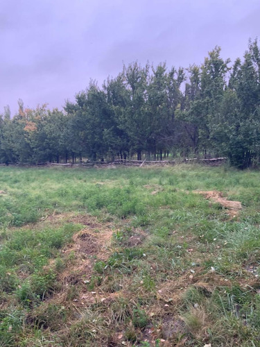 Venta De Chacra En Senillosa