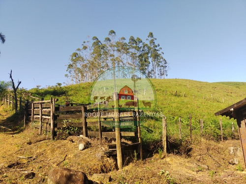 Imagem 9 de 28 de Fazenda À Venda No Vale Do Ribeira Sp Medindo 87,5 Alqueires Paulista Ref0978