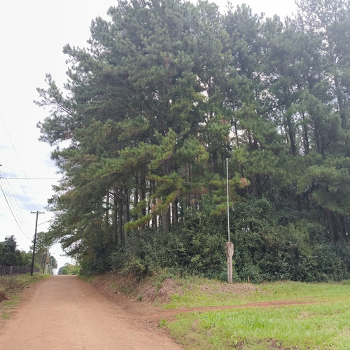 Oportunidad !lote De 8000m2 En Zona Suburbana Barrio Florida Montecarlo Misiones A 400 Mt De La Ruta 12 Apto Varios Destinos