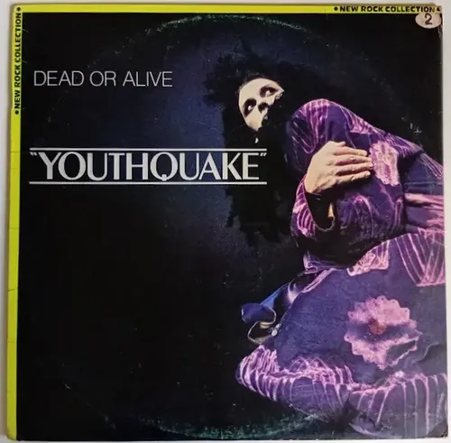 Vinil Lp Disco Dead Or Alive Youthquake 1985 Epic | MercadoLivre
