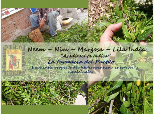 Malva Neem Nogal Salvia Hinojo Envio Gratis