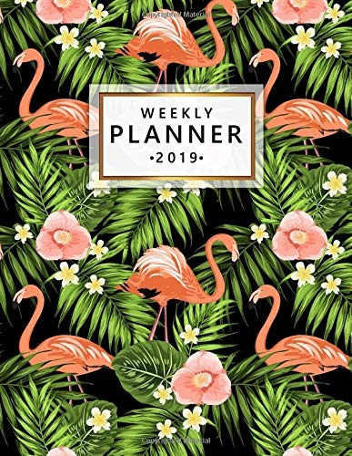 Weekly Planner 2019 Pretty Exotic Flamingo Weekly And Monthl