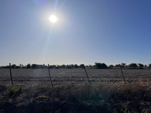 Imagen 10 de 13 de Campo Agricola En Venta , Zona Camino Capilla De Los Remedios Y Ruta 9 Sur , Cordoba , Argentina