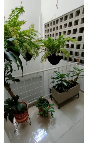 Venta Oficina De 490mtrs2 En Colseguros, Sur De Cali 7896.