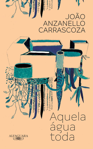 Aquela água toda, de Carrascoza, João Anzanello. Editora Schwarcz SA, capa mole em português, 2018