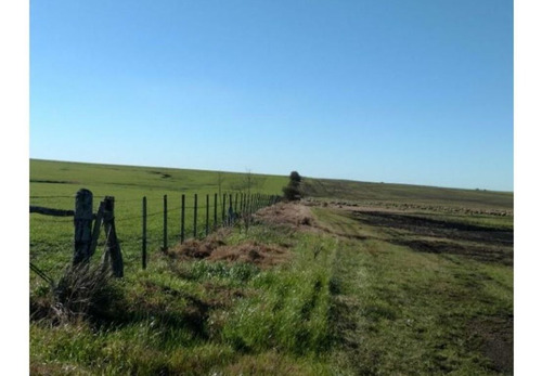 Imagen 7 de 12 de Terreno Campo En Venta Ubicado En Río Negro, Río Negro