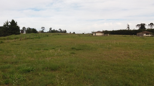 Imagem 8 de 23 de Excelente Terreno Plano Para Locação: 00351.003