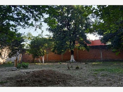 Imagen 5 de 8 de Terreno Comercial En Venta Itzamatitlan