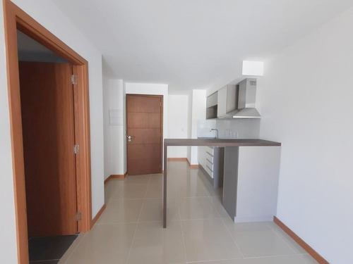 Imagen 5 de 13 de Apartamento 1 Dormitorio Cordón A Estrenar!