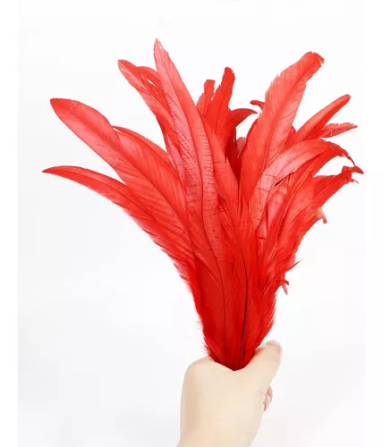  HaiMay 200 plumas rojas para manualidades, bodas