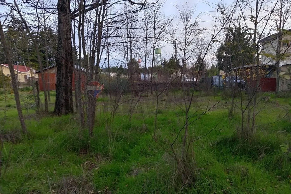 Imagen 2 de 21 de Casa Acogedora En Estación Yumbel