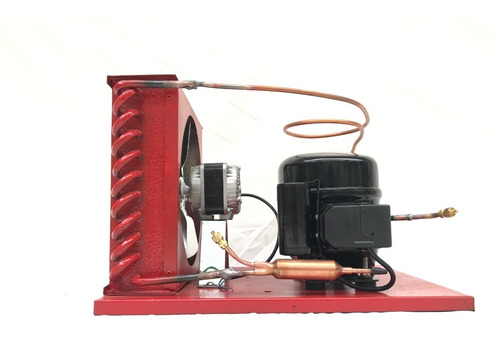 Imagen 1 de 6 de Unidad Condensadora 1/3 Hp  R-134a, 120v 