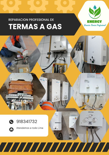 Reparacion De Termas A Gas A Domicilio Atendemos Emergencias