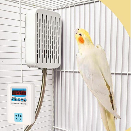 Calentador De Pájaros, Calentador De Aves, Termostato