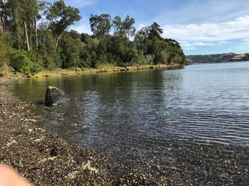 Preciosas Parcelas Segunda Linea. Península De Rilán Chiloé.